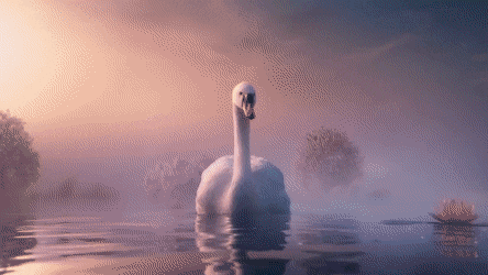 Swan paddling frantically